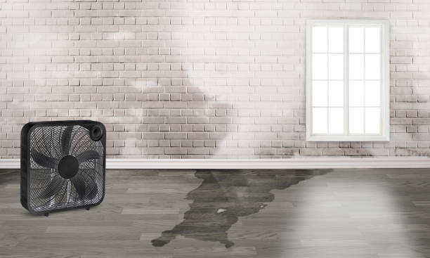 Best Water damage contractors near me  in Centerville, PA