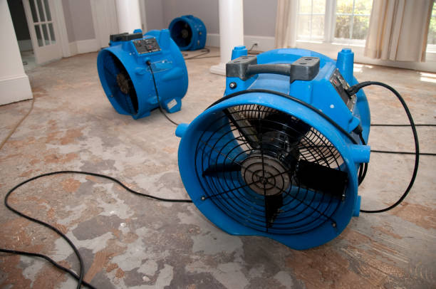 Best Sewage cleanup and water damage restoration  in Centerville, PA