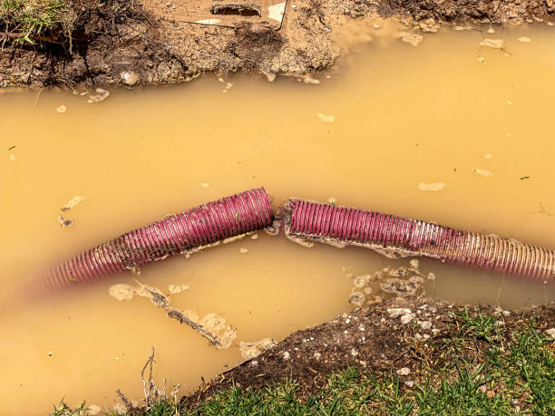 Best Water damage contractors near me  in Centerville, PA